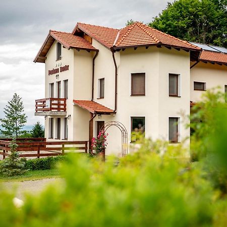 Pensiunea Rozelor Statiunea Climaterica Sambata Sîmbăta de Sus Εξωτερικό φωτογραφία