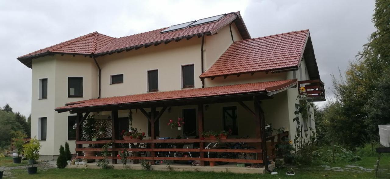 Pensiunea Rozelor Statiunea Climaterica Sambata Sîmbăta de Sus Εξωτερικό φωτογραφία