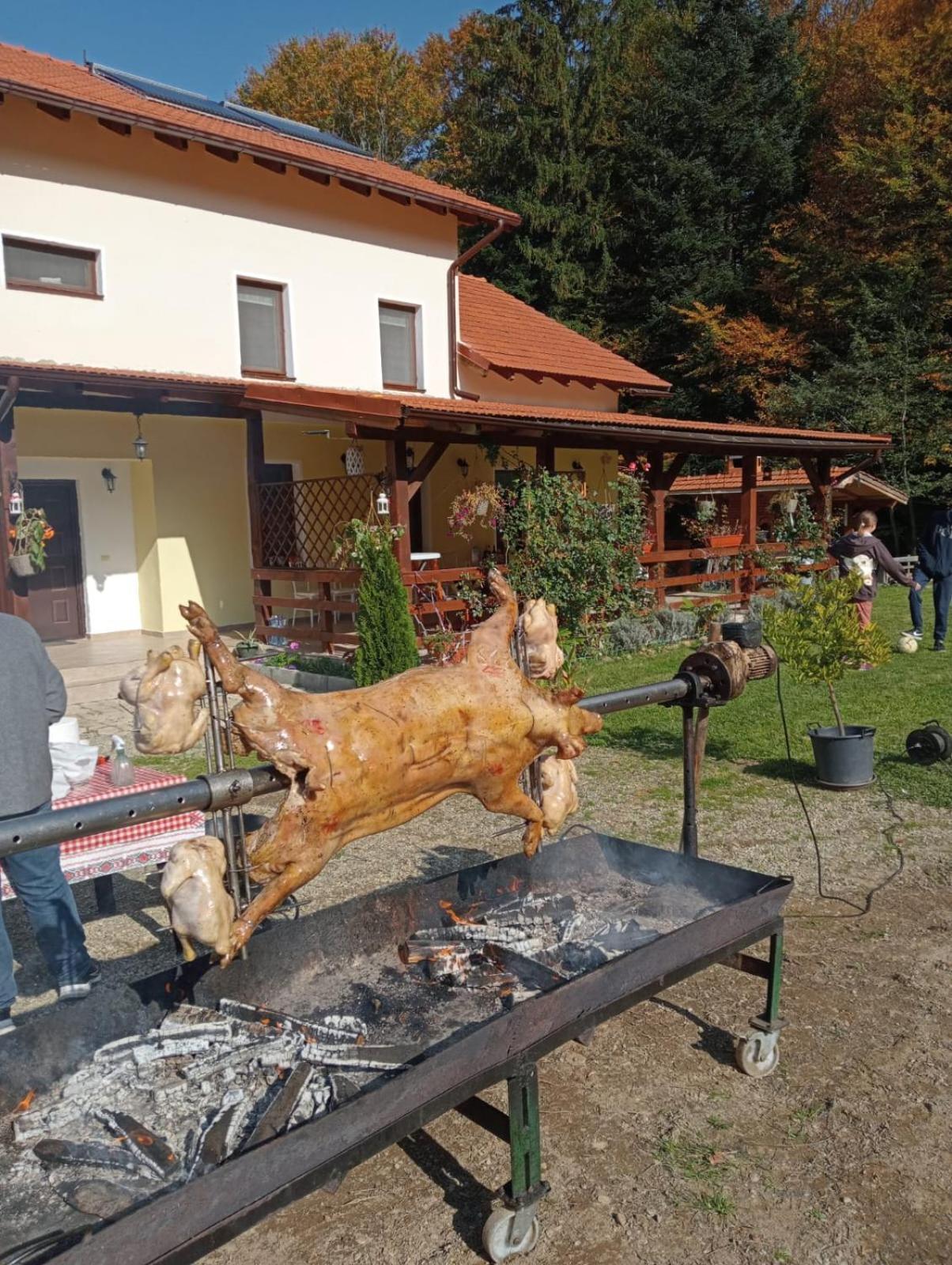 Pensiunea Rozelor Statiunea Climaterica Sambata Sîmbăta de Sus Εξωτερικό φωτογραφία